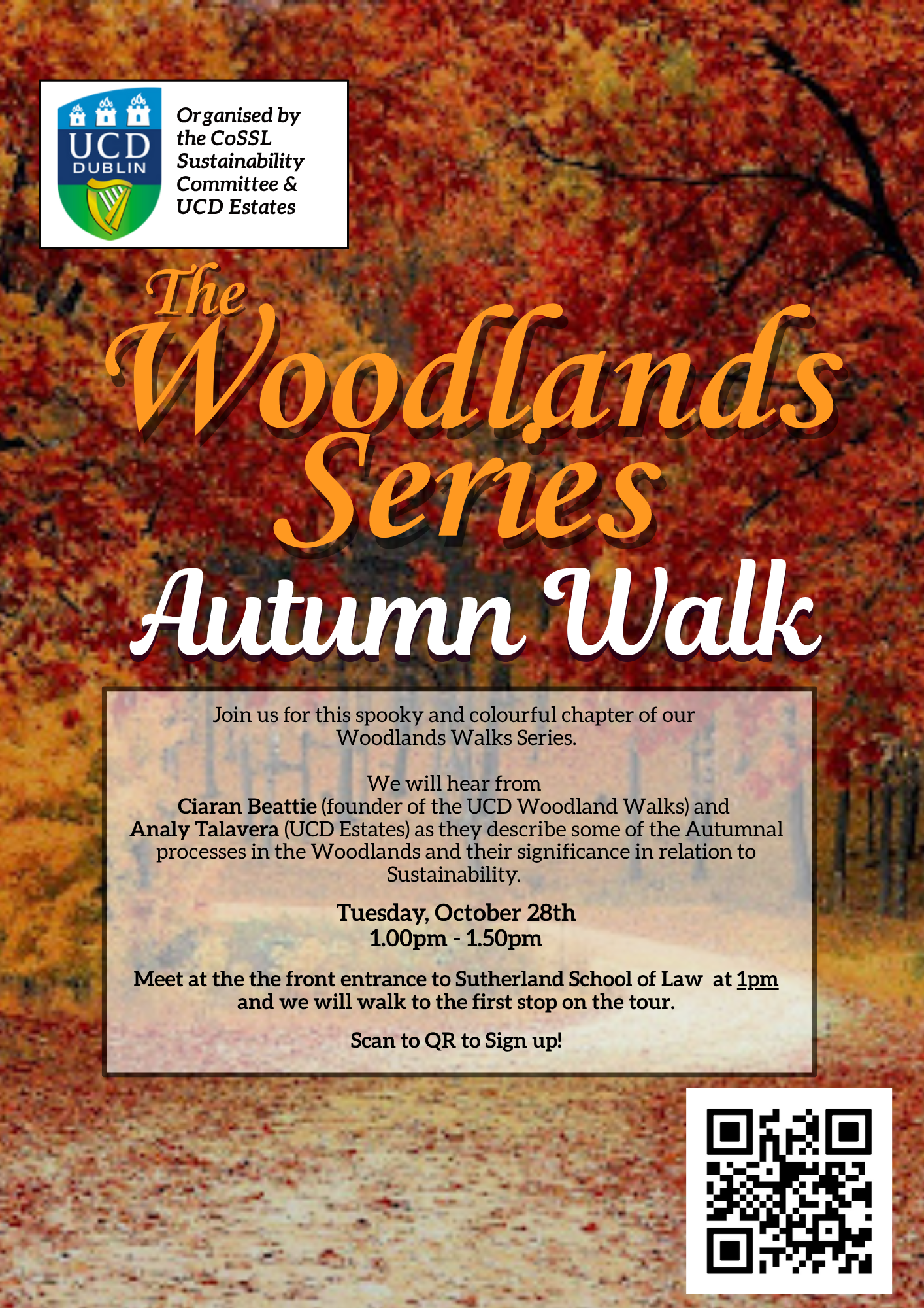 Woodlands Autumn